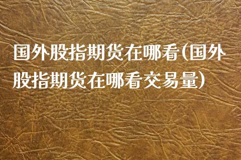 国外股指期货在哪看(国外股指期货在哪看交易量)_https://www.boyangwujin.com_期货直播间_第1张