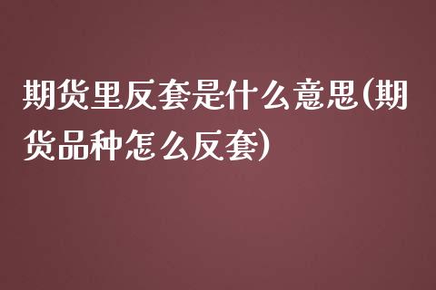 期货里反套是什么意思(期货品种怎么反套)