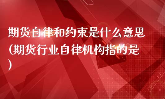 期货自律和约束是什么意思(期货行业自律机构指的是)