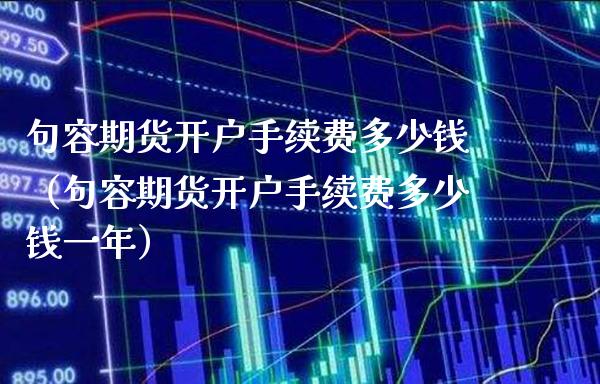 句容期货开户手续费多少钱（句容期货开户手续费多少钱一年）_https://www.boyangwujin.com_期货直播间_第1张