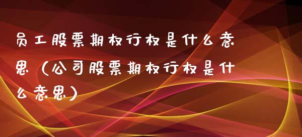 员工股票期权行权是什么意思（公司股票期权行权是什么意思）