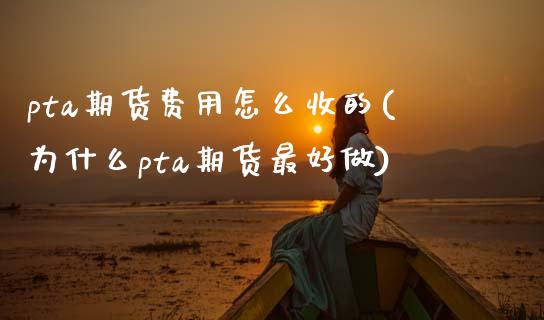 pta期货费用怎么收的(为什么pta期货最好做)