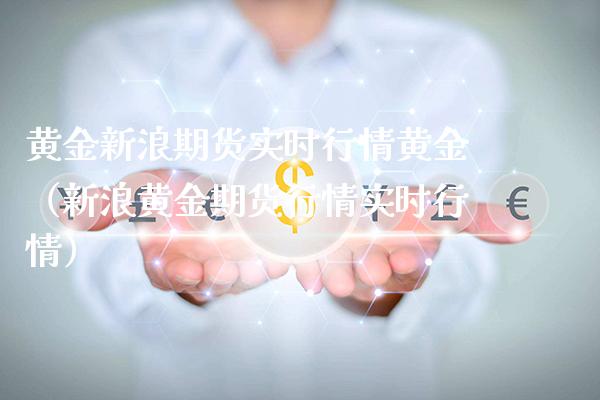 黄金新浪期货实时行情黄金（新浪黄金期货行情实时行情）