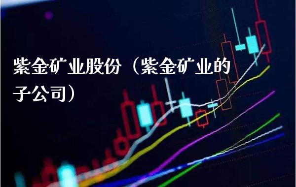 紫金矿业股份（紫金矿业的子公司）_https://www.boyangwujin.com_期货直播间_第1张