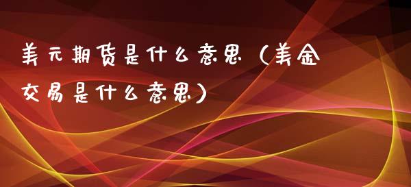 美元期货是什么意思（美金交易是什么意思）_https://www.boyangwujin.com_白银期货_第1张