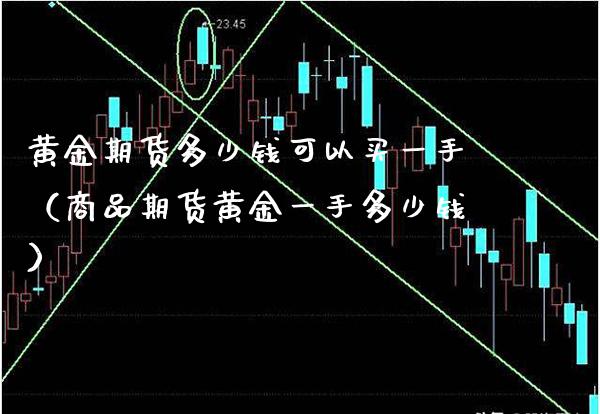 黄金期货多少钱可以买一手（商品期货黄金一手多少钱）