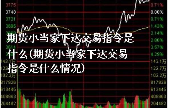 期货小当家下达交易指令是什么(期货小当家下达交易指令是什么情况)