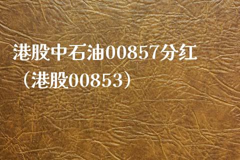 港股中石油00857分红（港股00853）_https://www.boyangwujin.com_纳指期货_第1张