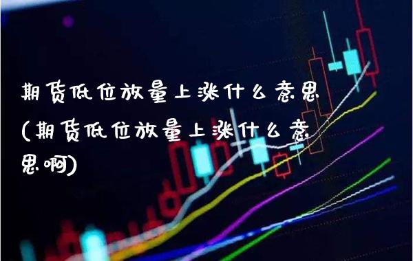 期货低位放量上涨什么意思(期货低位放量上涨什么意思啊)_https://www.boyangwujin.com_期货直播间_第1张