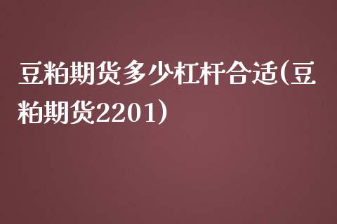 豆粕期货多少杠杆合适(豆粕期货2201)