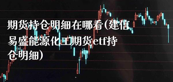 期货持仓明细在哪看(建信易盛能源化工期货etf持仓明细)