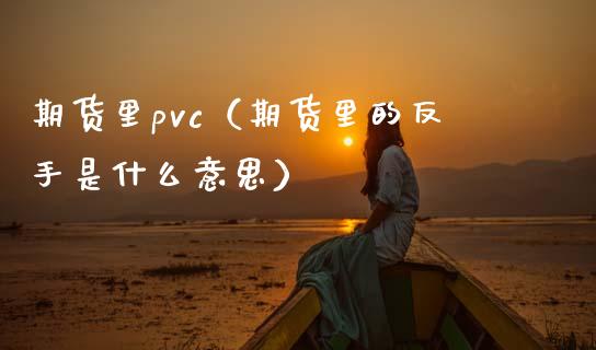 期货里pvc（期货里的反手是什么意思）