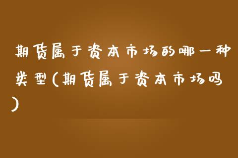 期货属于资本市场的哪一种类型(期货属于资本市场吗)