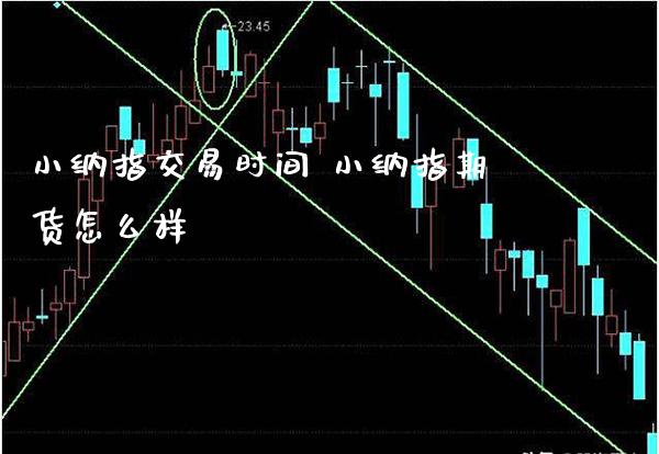 小纳指交易时间 小纳指期货怎么样_https://www.boyangwujin.com_纳指期货_第1张