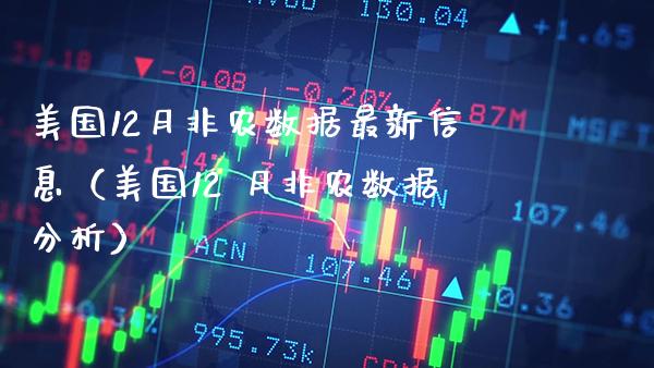 美国12月非农数据最新信息（美国12 月非农数据分析）