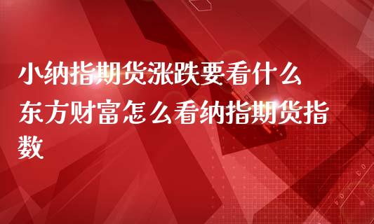 小纳指期货涨跌要看什么 东方财富怎么看纳指期货指数