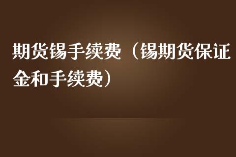 期货锡手续费（锡期货保证金和手续费）_https://www.boyangwujin.com_期货直播间_第1张