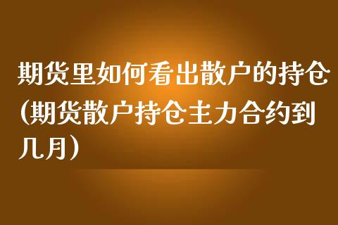 期货里如何看出散户的持仓(期货散户持仓主力合约到几月)_https://www.boyangwujin.com_白银期货_第1张