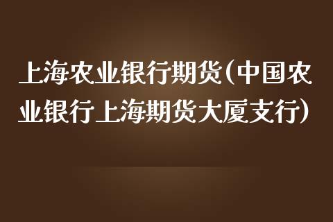 上海农业银行期货(中国农业银行上海期货大厦支行)