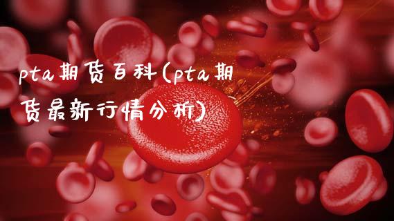 pta期货百科(pta期货最新行情分析)