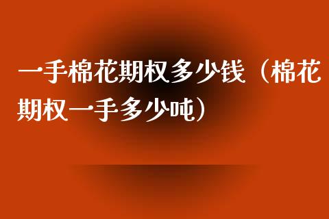 一手棉花期权多少钱（棉花期权一手多少吨）_https://www.boyangwujin.com_道指期货_第1张