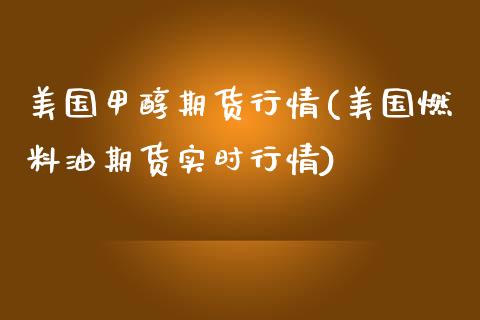 美国甲醇期货行情(美国燃料油期货实时行情)