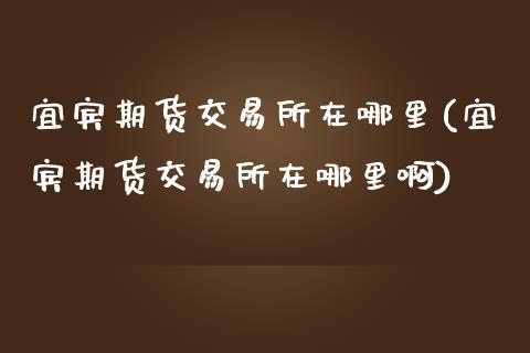 宜宾期货交易所在哪里(宜宾期货交易所在哪里啊)