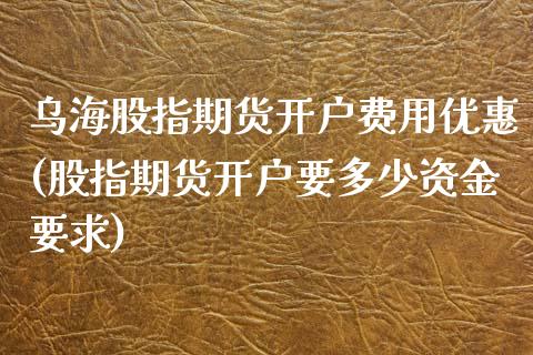 乌海股指期货开户费用优惠(股指期货开户要多少资金要求)_https://www.boyangwujin.com_黄金期货_第1张