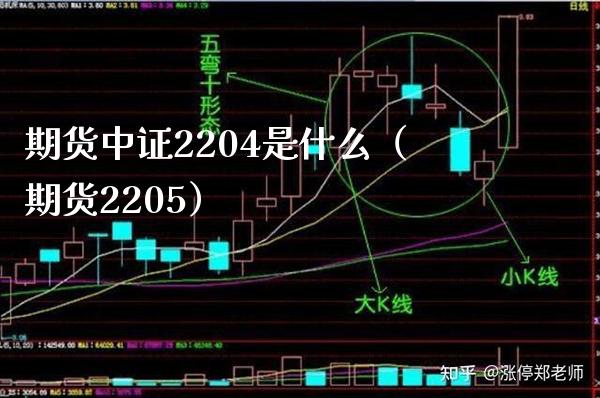 期货中证2204是什么（期货2205）_https://www.boyangwujin.com_纳指期货_第1张