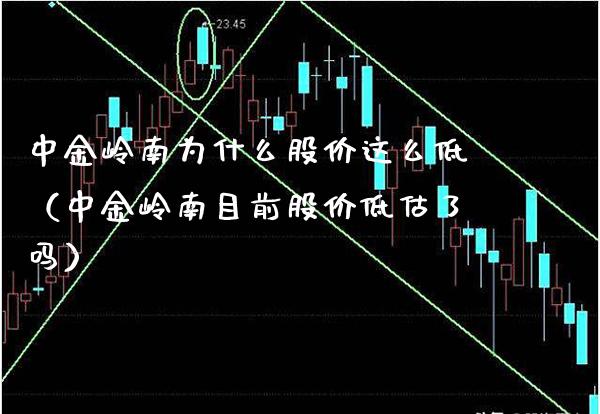 中金岭南为什么股价这么低（中金岭南目前股价低估了吗）