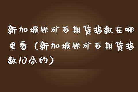 新加坡铁矿石期货指数在哪里看（新加坡铁矿石期货指数10合约）_https://www.boyangwujin.com_期货直播间_第1张