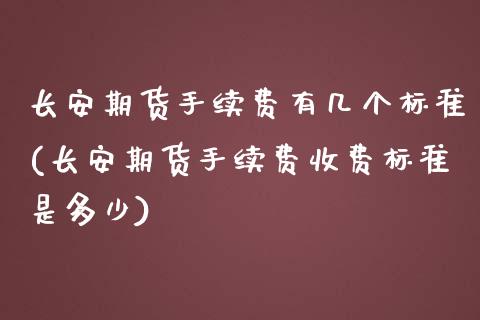 长安期货手续费有几个标准(长安期货手续费收费标准是多少)