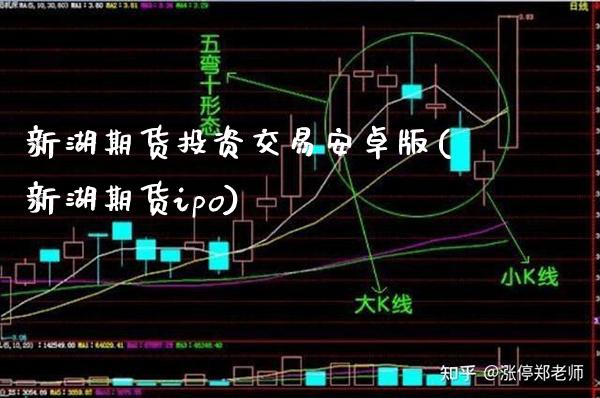 新湖期货投资交易安卓版(新湖期货ipo)