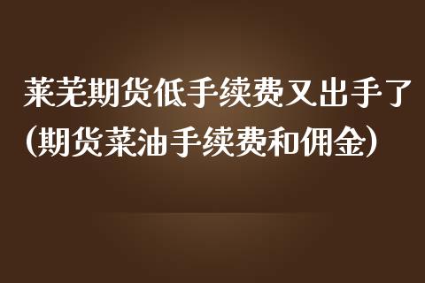 莱芜期货低手续费又出手了(期货菜油手续费和佣金)_https://www.boyangwujin.com_恒指直播间_第1张