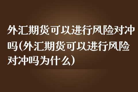 外汇期货可以进行风险对冲吗(外汇期货可以进行风险对冲吗为什么)