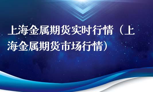 上海金属期货实时行情（上海金属期货市场行情）