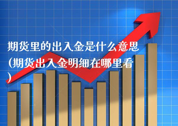 期货里的出入金是什么意思(期货出入金明细在哪里看)