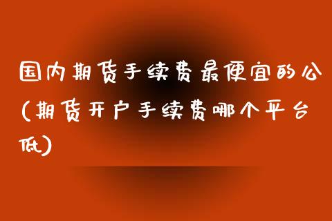 国内期货手续费最便宜的公(期货开户手续费哪个平台低)_https://www.boyangwujin.com_纳指期货_第1张