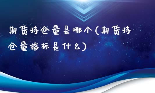 期货持仓量是哪个(期货持仓量指标是什么)