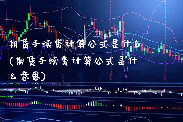 期货手续费计算公式是什么(期货手续费计算公式是什么意思)