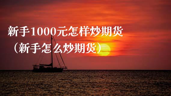 新手1000元怎样炒期货（新手怎么炒期货）_https://www.boyangwujin.com_期货直播间_第1张