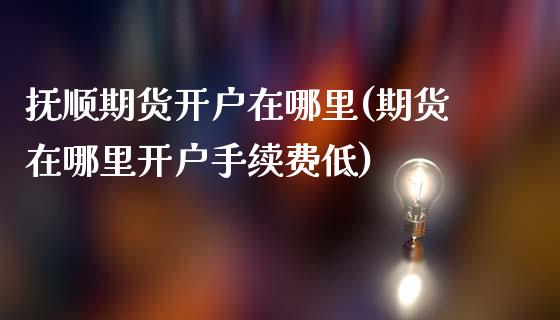 抚顺期货开户在哪里(期货在哪里开户手续费低)_https://www.boyangwujin.com_原油期货_第1张