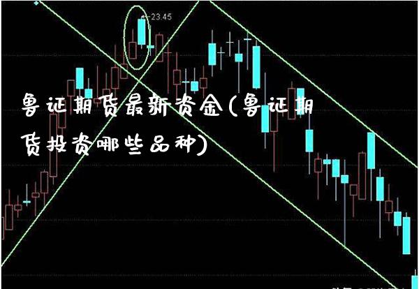 鲁证期货最新资金(鲁证期货投资哪些品种)_https://www.boyangwujin.com_原油直播间_第1张