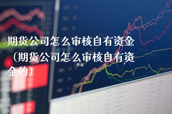 期货公司怎么审核自有资金（期货公司怎么审核自有资金的）