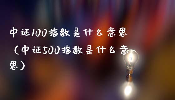 中证100指数是什么意思（中证500指数是什么意思）