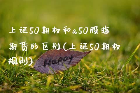 上证50期权和a50股指期货的区别(上证50期权规则)