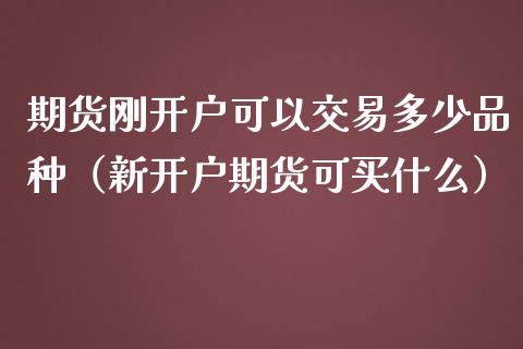 期货刚开户可以交易多少品种（新开户期货可买什么）