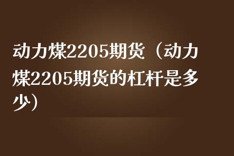 动力煤2205期货（动力煤2205期货的杠杆是多少）