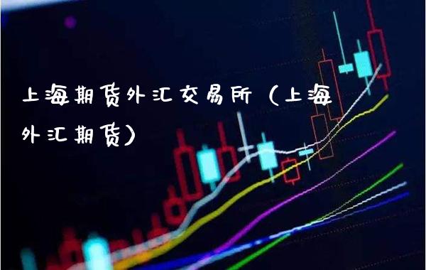 上海期货外汇交易所（上海外汇期货）_https://www.boyangwujin.com_黄金期货_第1张