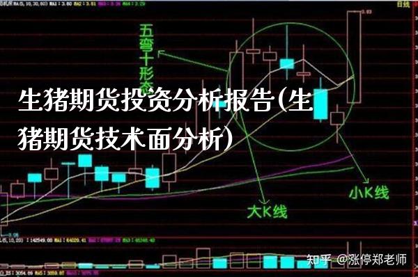 生猪期货投资分析报告(生猪期货技术面分析)_https://www.boyangwujin.com_期货直播间_第1张